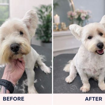 Leanne’s Mobile Pet Spa - Pet Groomers Near Me Leanne’s Mobile Pet Spa - Pet Groomers Near Me