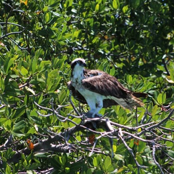 KeyZ Charters - Boat Tours Near Me - Islamorada, Florida