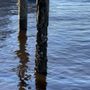 Photo of Piling Magic