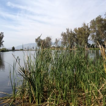 Anglers Lake - Fishing Near Me - Hemet, California Anglers Lake - Fishing Near Me - Hemet, California