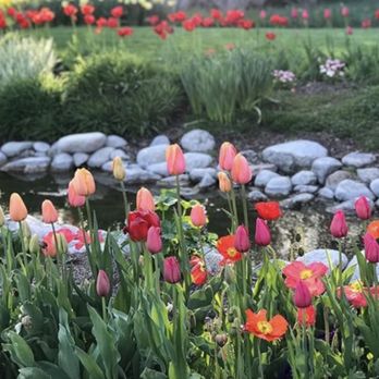 Thanksgiving Point - Performing Arts Near Me - Lehi, Utah Thanksgiving Point - Performing Arts Near Me - Lehi, Utah