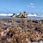 Photo of Playa Chen Rio