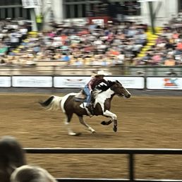 Ladies barrel racing - girl power Ladies barrel racing - girl power