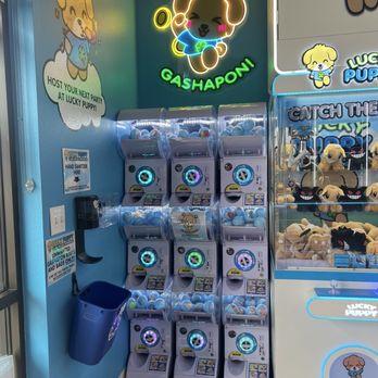 Lucky Puppy Claw Arcade - Arcades Near Me - Spring Valley, Nevada Lucky Puppy Claw Arcade - Arcades Near Me - Spring Valley, Nevada