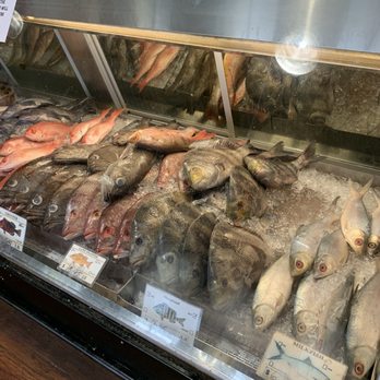 Safe Harbor Seafood Market - Fresh whole fish grouper snapper flounder trigger sheepshead and so much more - Seafood Markets Near Me - Atlantic Beach, Florida Safe Harbor Seafood Market - Fresh whole fish grouper snapper flounder trigger sheepshead and so much more - Seafood Markets Near Me - Atlantic Beach, Florida