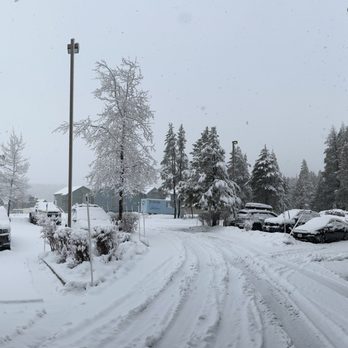 Truckee Donner Lodge - So much snow! And the had the roads cleared an safe for driving - Hotels Near Me - Truckee, California Truckee Donner Lodge - So much snow! And the had the roads cleared an safe for driving - Hotels Near Me - Truckee, California