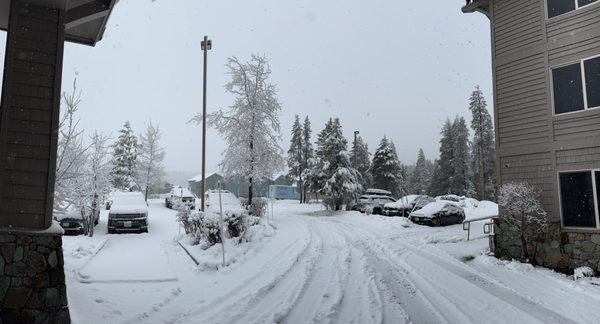 Truckee Donner Lodge by null