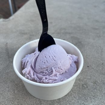 Silver Lining Creamery - Lavender Honey - Desserts Near Me - Rapid City, South Dakota Silver Lining Creamery - Lavender Honey - Desserts Near Me - Rapid City, South Dakota