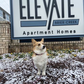 Elevate Brier Creek Apartments - Apartments Near Me - Raleigh, North Carolina