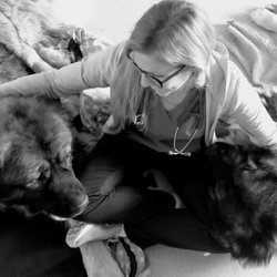 Lakeside Mobile Veterinary Services