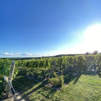 Torch Lake Cellars - Beautiful view! - Wine Tasting Room Near Me - Bellaire, Michigan Torch Lake Cellars - Beautiful view! - Wine Tasting Room Near Me - Bellaire, Michigan