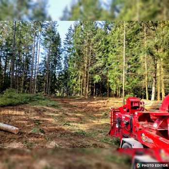 Primal Tree Service - Tree Services Near Me - Sedro Woolley, Washington Primal Tree Service - Tree Services Near Me - Sedro Woolley, Washington