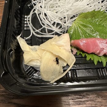 Yoshio Sushi - Sushi Bars Near Me - El Cerrito, California Yoshio Sushi - Sushi Bars Near Me - El Cerrito, California