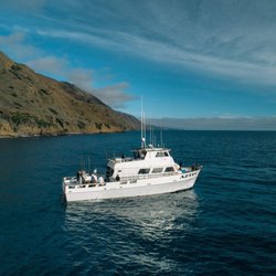 Seaforth Sportfishing