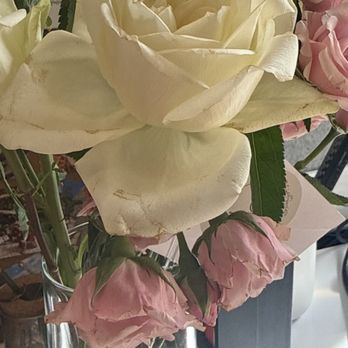 Gool Flower Shop - Florists Near Me - Denver, Colorado Gool Flower Shop - Florists Near Me - Denver, Colorado