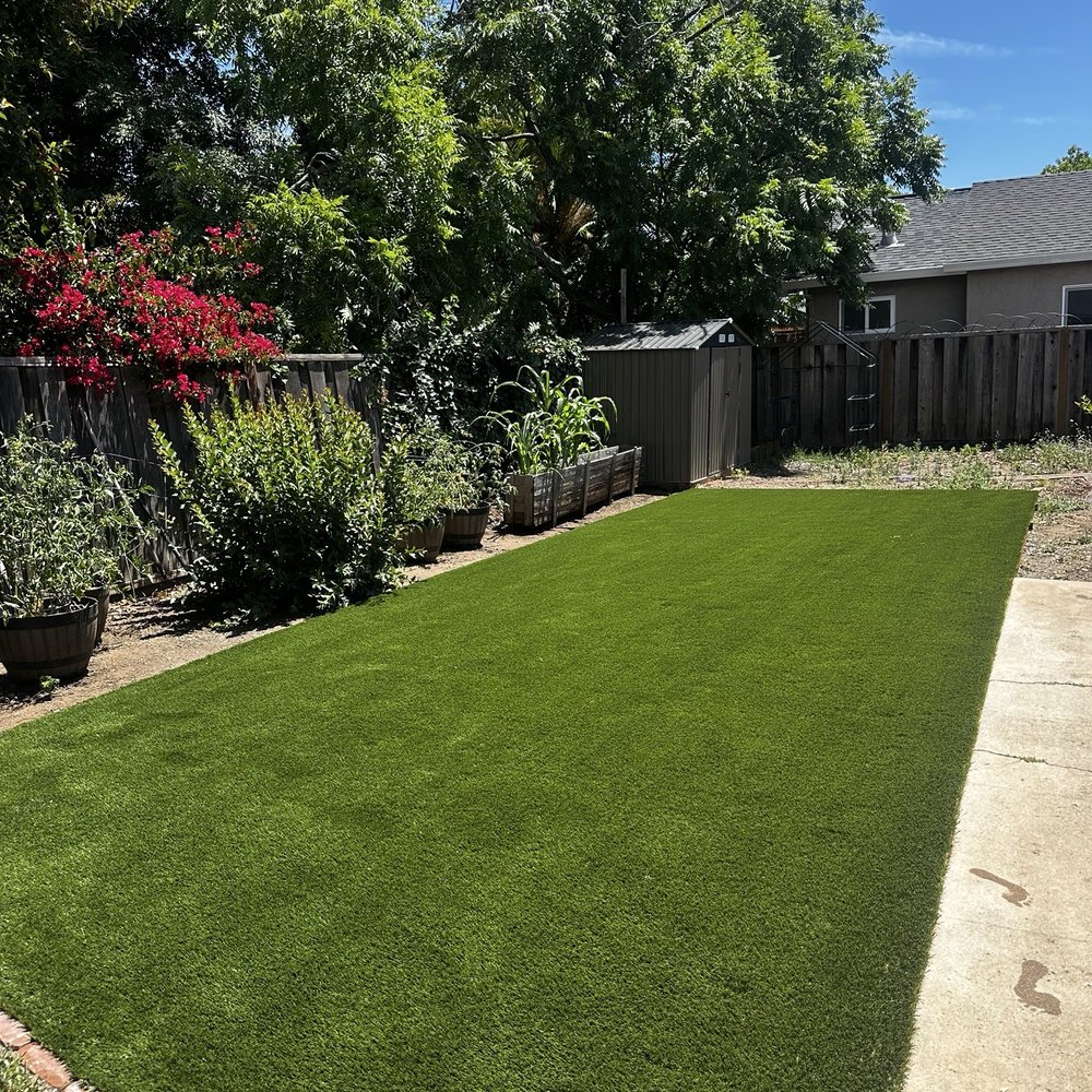 Backyard Backyard