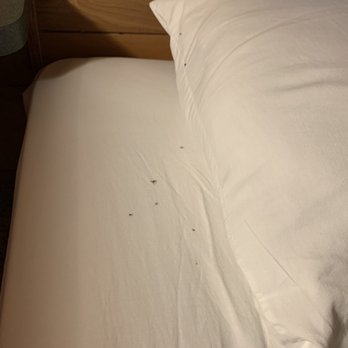 Cedar Point's Lighthouse Point - Bugs all over the bed - RV Parks Near Me - Sandusky, Ohio