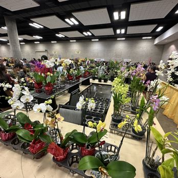Hawaii Convention Center - Plants for sale - Venues & Event Spaces Near Me - Honolulu, Hawaii Hawaii Convention Center - Plants for sale - Venues & Event Spaces Near Me - Honolulu, Hawaii