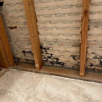 BH Environmental - Pantry - Damage Restoration Near Me