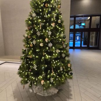 Adelaide Marriott Hotel - Christmas tree - Hotels Near Me - Adelaide, SA