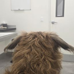 Clean Facility! Waiting room... Clean Facility! Waiting room...