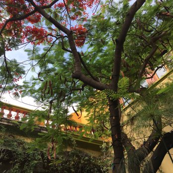 Casa Fuerte - Mexican Near Me - Tlaquepaque, JAL