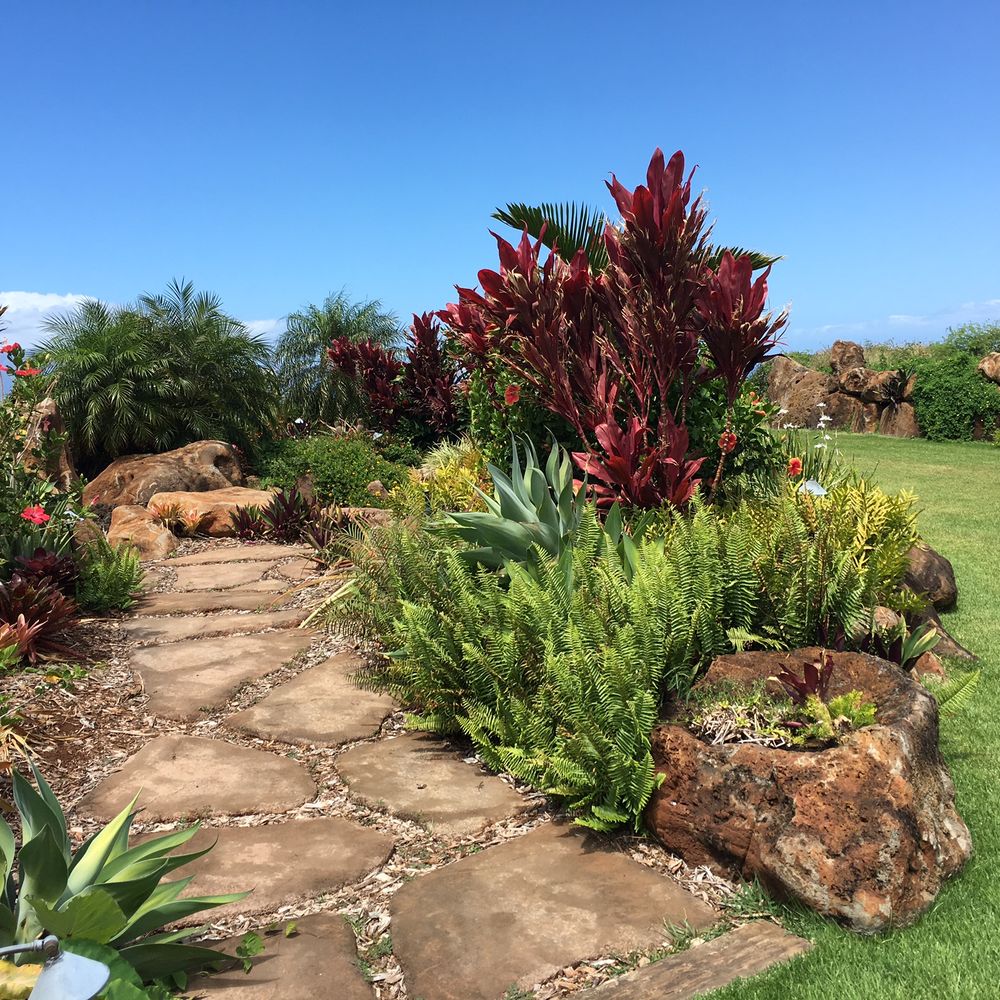 Punakea Palms - Tours Near Me - Lahaina, Hawaii Punakea Palms - Tours Near Me - Lahaina, Hawaii