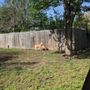 Photo of Ninnescah Veterinary Service