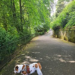 Pittencrieff Park