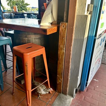 The Tap & Still - You can find chicken wings on the menu AND wandering in the bar! - Dive Bars Near Me - Red Hook, Virgin Islands The Tap & Still - You can find chicken wings on the menu AND wandering in the bar! - Dive Bars Near Me - Red Hook, Virgin Islands