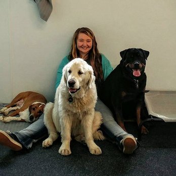 K-9 to Five - Everybody's pooped after another fun day of playing at K-9 to Five! - Pet Groomers Near Me - Vancouver, Washington K-9 to Five - Everybody's pooped after another fun day of playing at K-9 to Five! - Pet Groomers Near Me - Vancouver, Washington