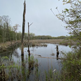 North Point State Park - Parks Near Me - Edgemere, Maryland