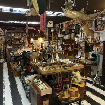 Mudlark Oddities - Antiques Near Me - Seattle, Washington