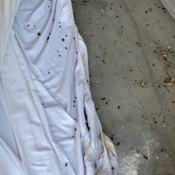 SmartStop Self Storage - This was on the floor as we moved the mattress. - Self Storage Near Me - Myrtle Beach, South Carolina SmartStop Self Storage - This was on the floor as we moved the mattress. - Self Storage Near Me - Myrtle Beach, South Carolina