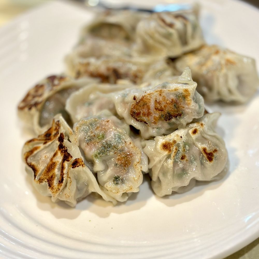 Flavourful House - Must try fried dumplings - Chinese Near Me - Richmond Hill, Ontario Flavourful House - Must try fried dumplings - Chinese Near Me - Richmond Hill, Ontario