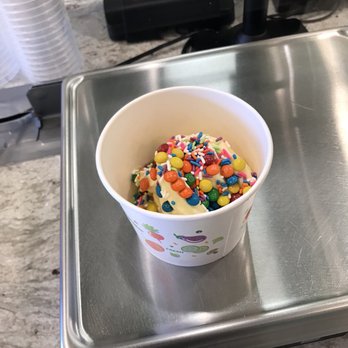 Fruity Yogurt - a cup of fruity yogurt - Ice Cream & Frozen Yogurt Near Me - Hillsborough, New Jersey