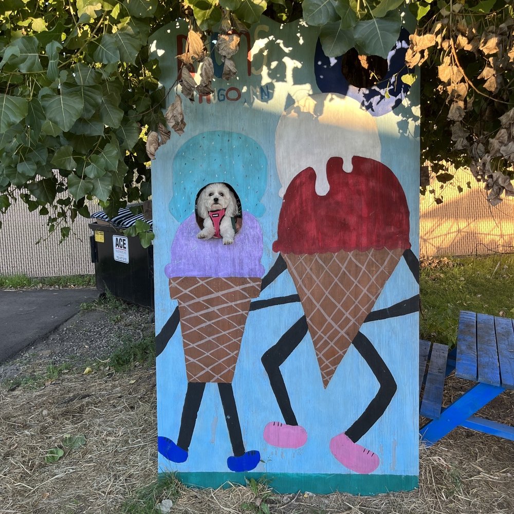 Booms Ice Cream - Fun area out back for games and photos - Ice Cream & Frozen Yogurt Near Me - Hugo, Minnesota