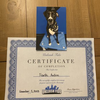 Unleash Fido - Pet Training Near Me - Jacksonville, Florida Unleash Fido - Pet Training Near Me - Jacksonville, Florida