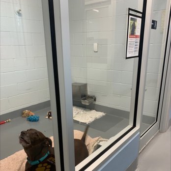 Patty Baker Humane Society Naples - Animal Shelters Near Me - Naples, Florida Patty Baker Humane Society Naples - Animal Shelters Near Me - Naples, Florida