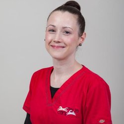 Hôpital Vétérinaire Cani-Felis