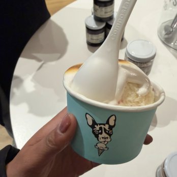 Molly Moon's Homemade Ice Cream - Ice Cream & Frozen Yogurt Near Me - Seattle, Washington