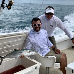 Sea Horse Charters