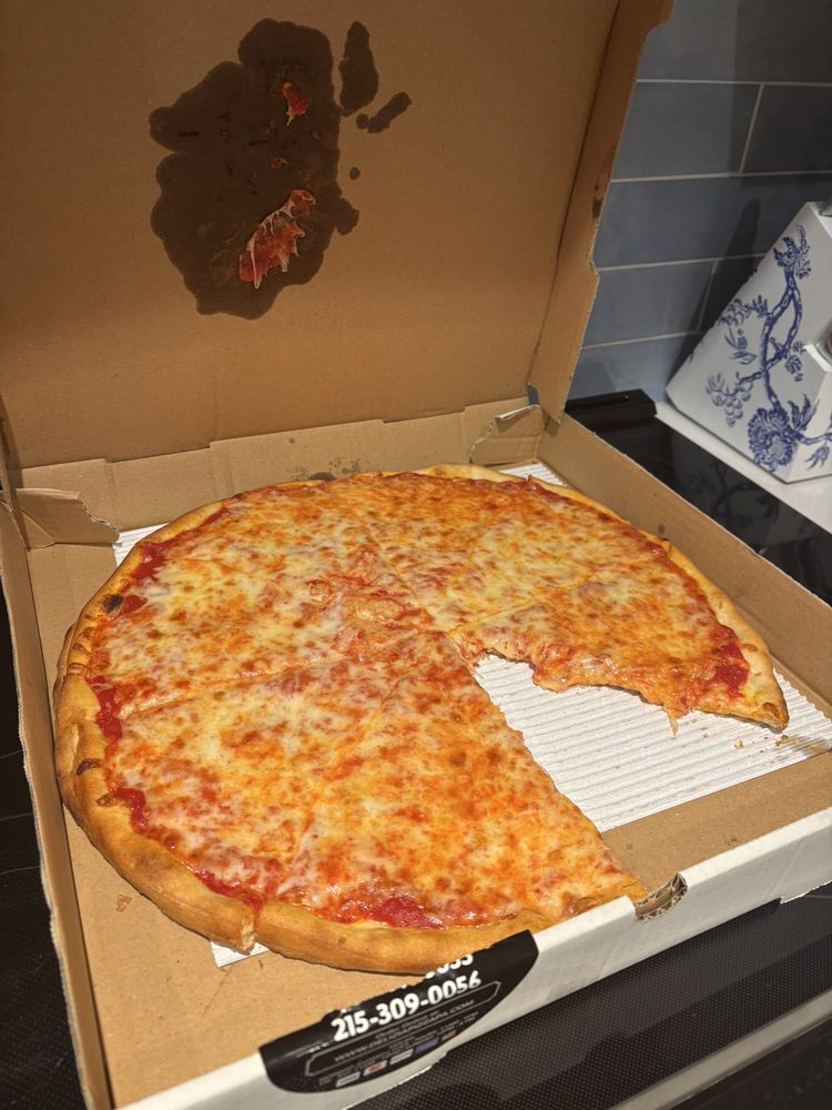 Food from Delizia Pizza