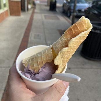 Hello Honey - sad waffle cone - Ice Cream & Frozen Yogurt Near Me - Fort Thomas, Kentucky Hello Honey - sad waffle cone - Ice Cream & Frozen Yogurt Near Me - Fort Thomas, Kentucky