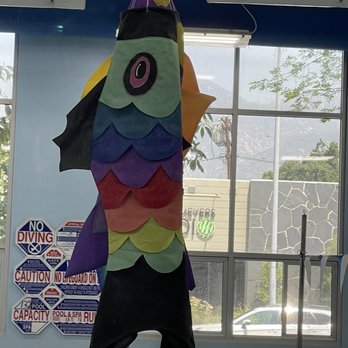 Waterworks Aquatics Pasadena - They have many different ones, hanging over pools - Swimming Lessons/Schools Near Me - Pasadena, California Waterworks Aquatics Pasadena - They have many different ones, hanging over pools - Swimming Lessons/Schools Near Me - Pasadena, California