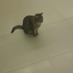Estación Plaza de los Virreyes - Línea E - La mascota de la estación... Que estara mirando??