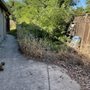 Photo of Molina's Landscaping