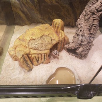 Bell Museum - Museums Near Me - Saint Paul, Minnesota