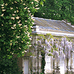Le parc de la Chantrerie