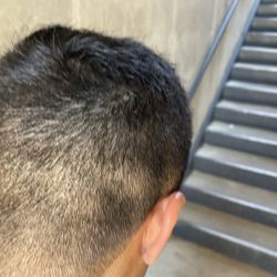 Freedom Barber